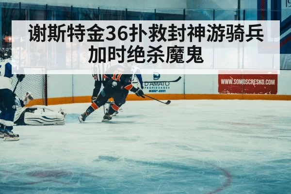 ice hockey match action